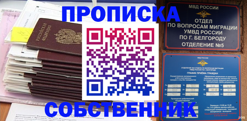 прописка законно в Щёлково